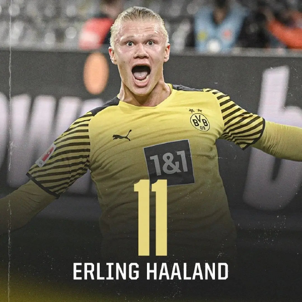 别人都买 别人都买